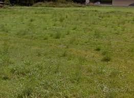 Terreno edificabile Roncadelle di Ormelle