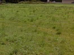 Terreno edificabile Roncadelle di Ormelle