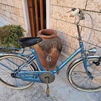 Bicicletta Pieghevole 24 pollici (USATA) 