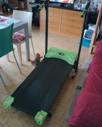 Tapis roulant Diadora magnetico