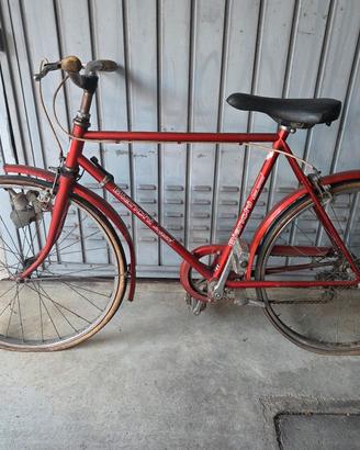 bicicletta 22"