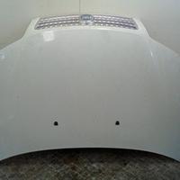 COFANO ANT. FIAT PUNTO CLASSIC (2U) (01/07-12/1 18
