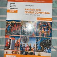libro le occasioni della letteratura