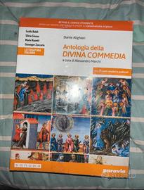 libro le occasioni della letteratura