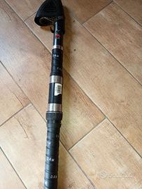 Canne da Surfcasting