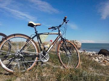 bici da passeggio 