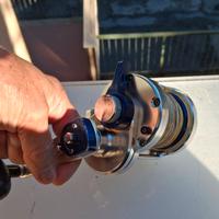 SALTIGA DAIWA LD 40