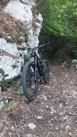 trek slash 8