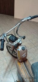 Cimatti mini chic con libretto