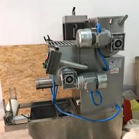 Macchina per la Pasta P55R