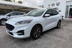 FORD Kuga 1.5 EcoBlue 120 CV 2WD ST-Line