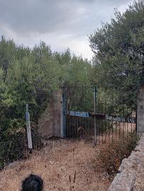 terreno