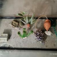 Acquario + accessori completi