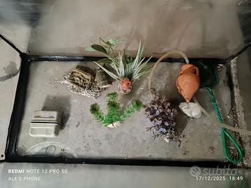 Acquario + accessori completi