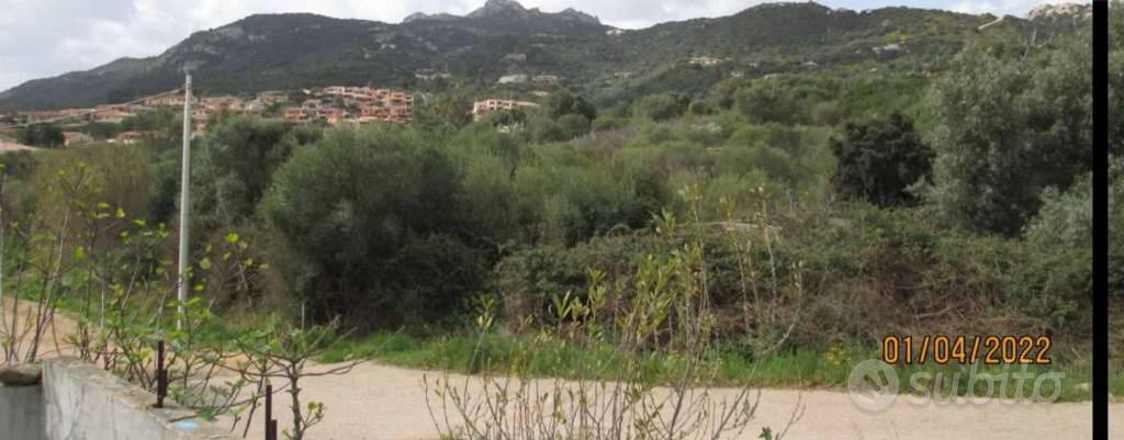 Immobile in asta di 648 m² a Arzachena - Vista 4