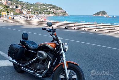 Harley Davidson Sportster 1200 custom