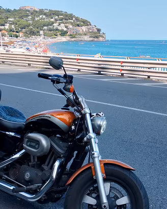 Harley Davidson Sportster 1200 custom