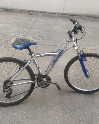 Bici da uomo