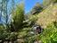 Immagine 11