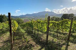 Azienda agricola biologica