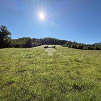 TER. AGRICOLO A GALLINARO