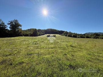 TER. AGRICOLO A GALLINARO