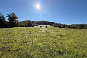 TER. AGRICOLO A GALLINARO