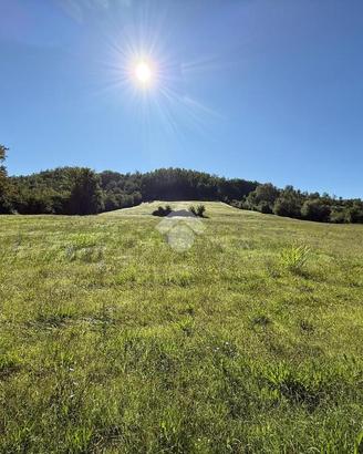 TER. AGRICOLO A GALLINARO