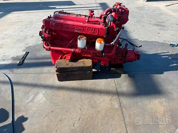 Motore Fiat aifo 80-61