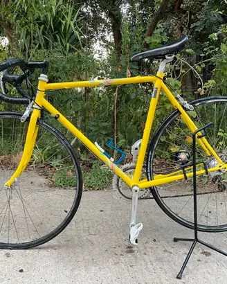 Bici da corsa vintage Pinarello