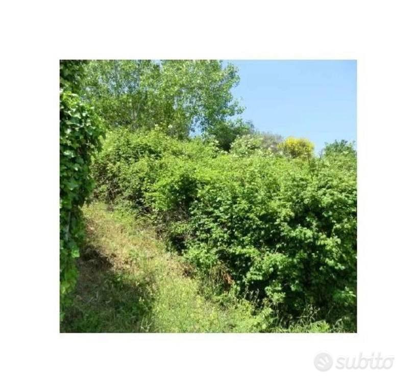 Immobile in asta di 640 m² a Bettona - Vista 2