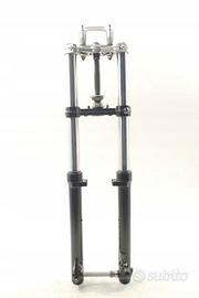 BMW F 650 700 800 GS (14-18) Sospensione anteriore