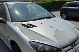 Peugeot 206 1.4 HDi 68CV