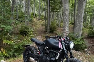 Moto honda Hornet scrambler - cafe racer