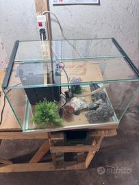 Acquario completo 49x31x32 cm con filtro
