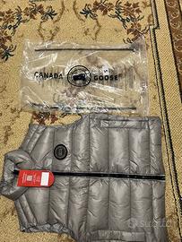 Smanicato canada goose