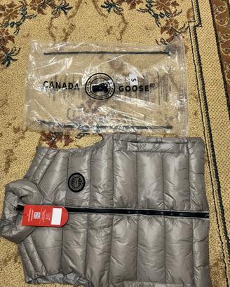Smanicato canada goose