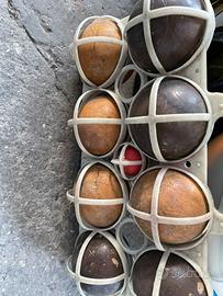 Set  bocce