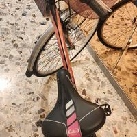 bicicletta casadei 