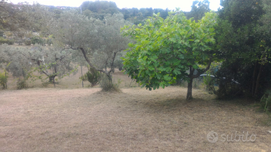 Terreno a Livorno