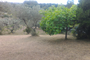 Terreno a Livorno