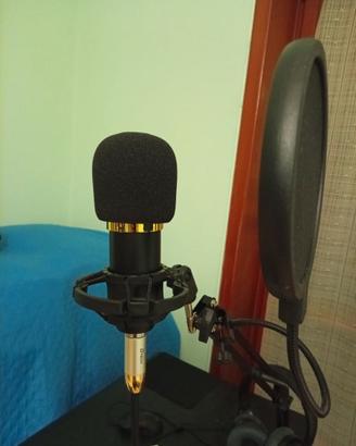 Microfono professionale a diaframma largo