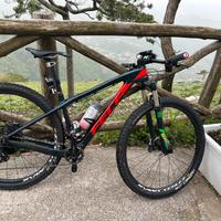 MTB Felt Frull Carbon