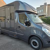 Van trasporto 2 cavalli Renault Master DCI