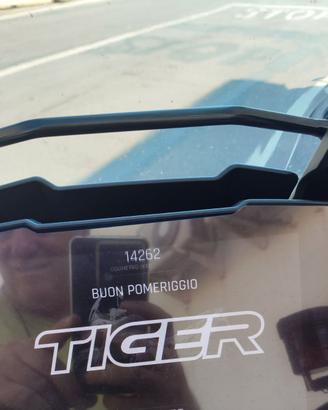 Triumph Tiger 900 gt anno 2020