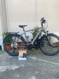 E-Bike Winora Sinus iX12