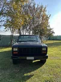 Ford f100 pick up