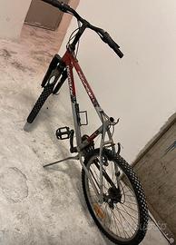 Mountain bike