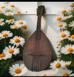 antico mandolino napoletano