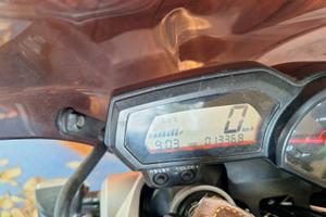 Yamaha FZR 600 - 2008